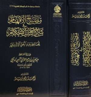 مصالح الأفهام في شرح كتاب الأحكام