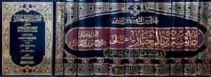 حاشية رد المحتار على الدر المختار (شرح تنوير الأبصار) في فقه مذهب الإمام أبي حنيفة النعمان ويليه حاشية قرة عيون الأخيار \ 11 مجلد