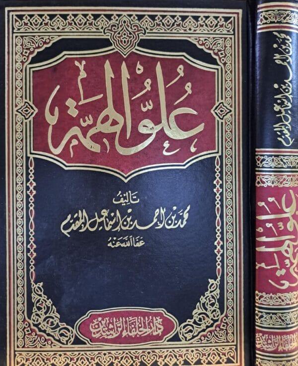 علو الهمة