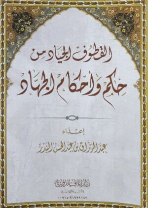 06903
