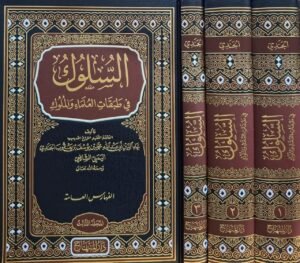 السلوك في طبقات العلماء والملوك 1/3