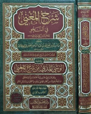 شرح المغني في النحو