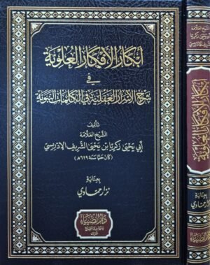 أبكار الأفكارالعلوية في شرح الأسرار العقلية في الكلمات النبوية