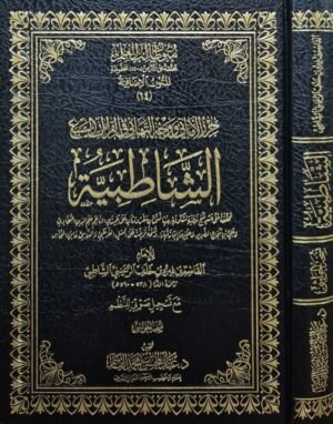 حرز الأماني ووجه التهاني في القراءات السبع (الشاطبية) (نسخة الحواشي)