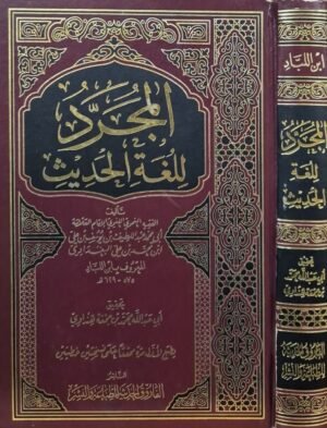المجرد للغة الحديث