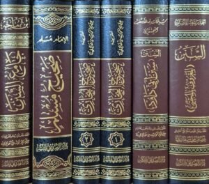 مجموعة تحقيقات لكتب السنن لعصام موسى هادي (السنن المعروف "المجتبى" - السنن "سنن أبي داود" - صحيح البخاري 1/2 - صحيح مسلم - جامع السنن "سنن ابن ماجه") \ 6 مجلدات